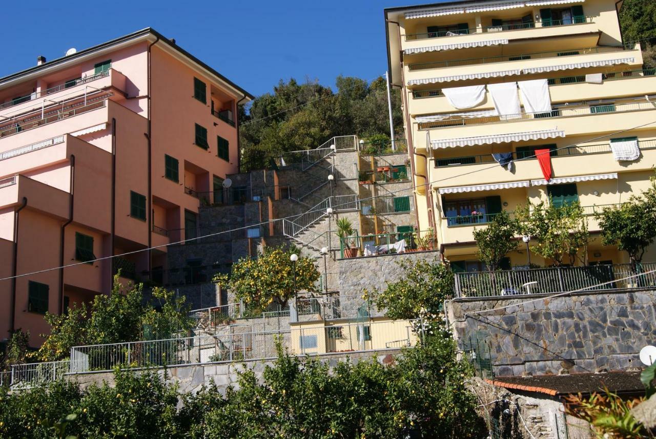 Chez Reny Terrazza Vista Mare Διαμέρισμα Μοντερόσο αλ Μάρε Εξωτερικό φωτογραφία
